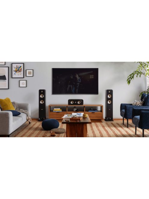 Polk Audio Signature Elite ES55