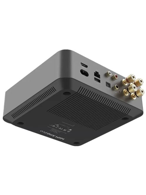Wiim Amp Pro