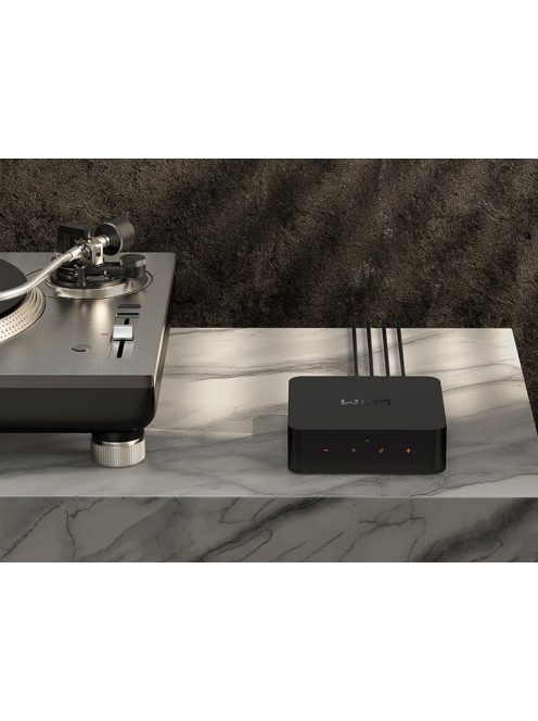 Wiim Pro