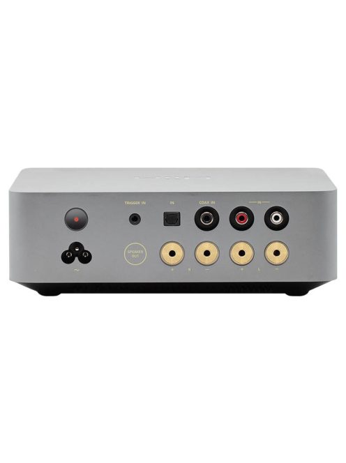 Wiim Vibelink Amp