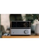 Wiim Vibelink Amp